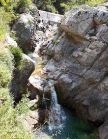 Кто сегодня живёт на Олимпе