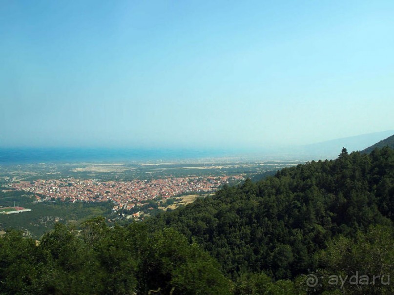 Кто сегодня живёт на Олимпе