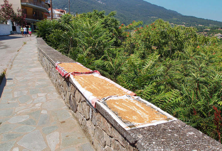 Кто сегодня живёт на Олимпе