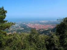 Кто сегодня живёт на Олимпе