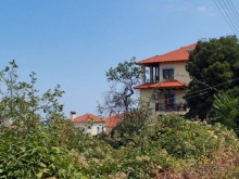 Кто сегодня живёт на Олимпе