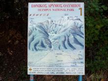 Кто сегодня живёт на Олимпе