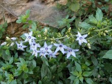 Кто сегодня живёт на Олимпе