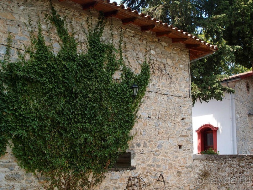 Кто сегодня живёт на Олимпе