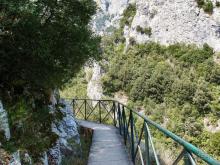 Кто сегодня живёт на Олимпе