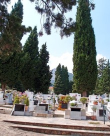 Кто сегодня живёт на Олимпе