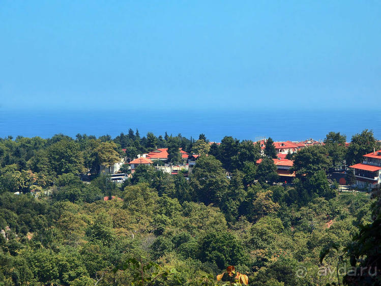 Кто сегодня живёт на Олимпе