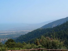 Кто сегодня живёт на Олимпе