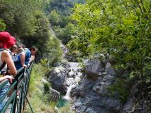 Кто сегодня живёт на Олимпе