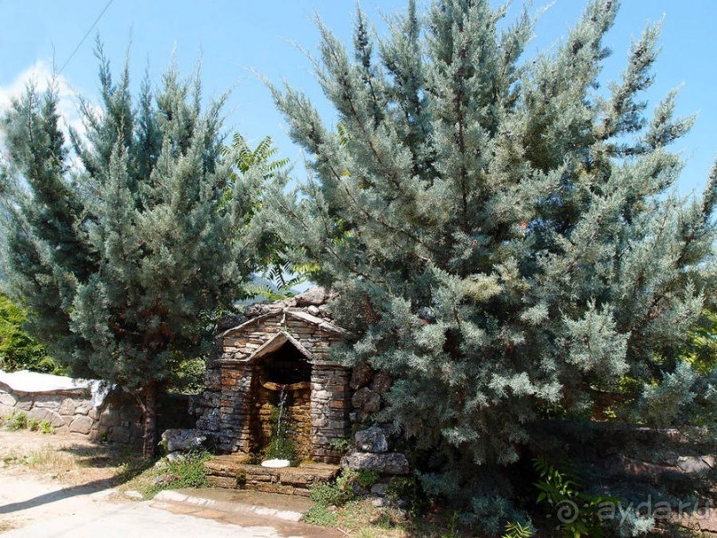 Кто сегодня живёт на Олимпе