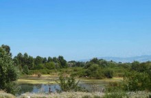 Кто сегодня живёт на Олимпе