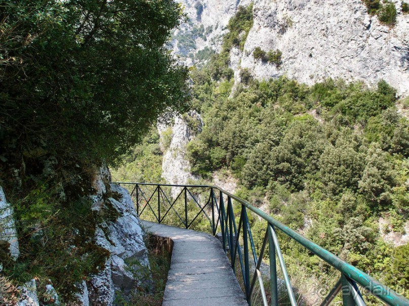 Кто сегодня живёт на Олимпе