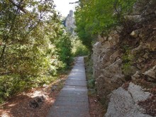 Кто сегодня живёт на Олимпе