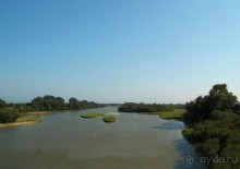 Кто сегодня живёт на Олимпе