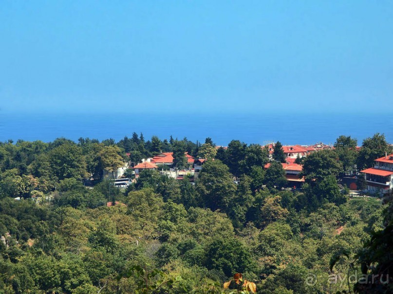 Кто сегодня живёт на Олимпе