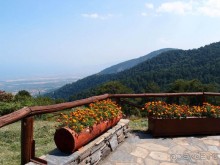 Кто сегодня живёт на Олимпе