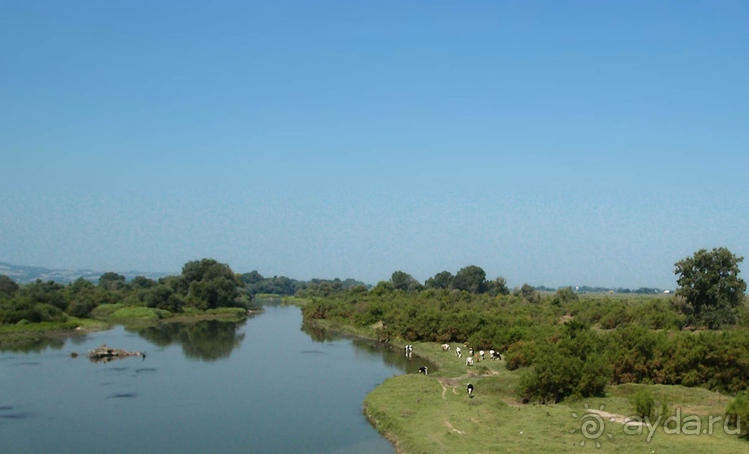 Кто сегодня живёт на Олимпе