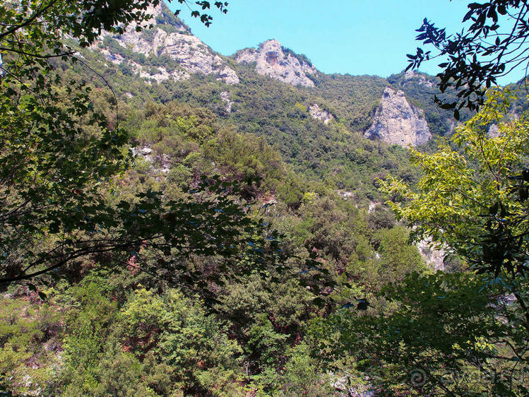 Кто сегодня живёт на Олимпе