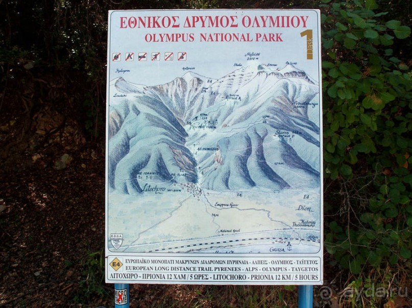 Кто сегодня живёт на Олимпе