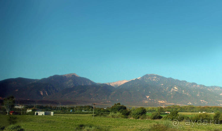 Кто сегодня живёт на Олимпе