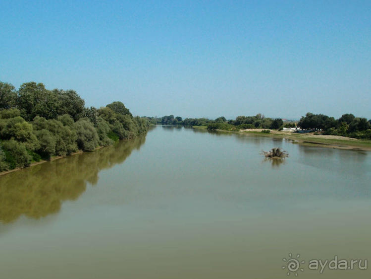 Кто сегодня живёт на Олимпе
