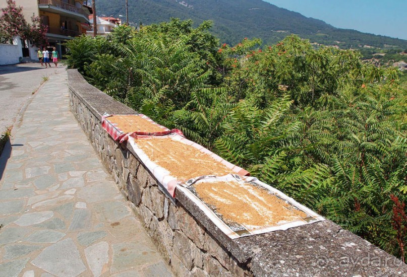 Кто сегодня живёт на Олимпе