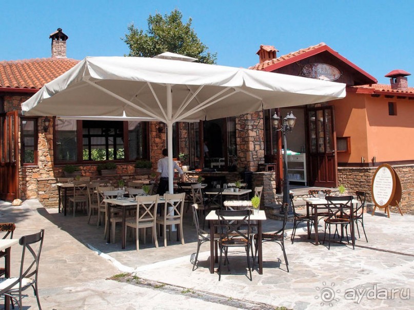 Кто сегодня живёт на Олимпе