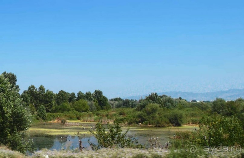 Кто сегодня живёт на Олимпе