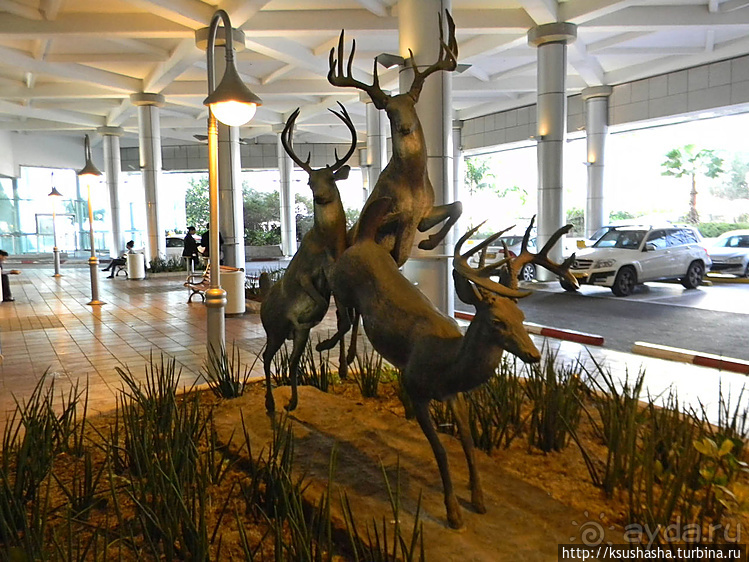 Поездом — в ультрасовременный Тель Авив