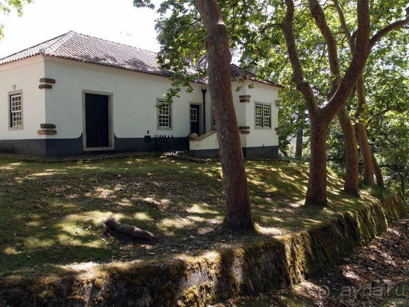 Королевские охотничьи угодья