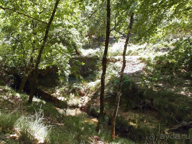 Королевские охотничьи угодья