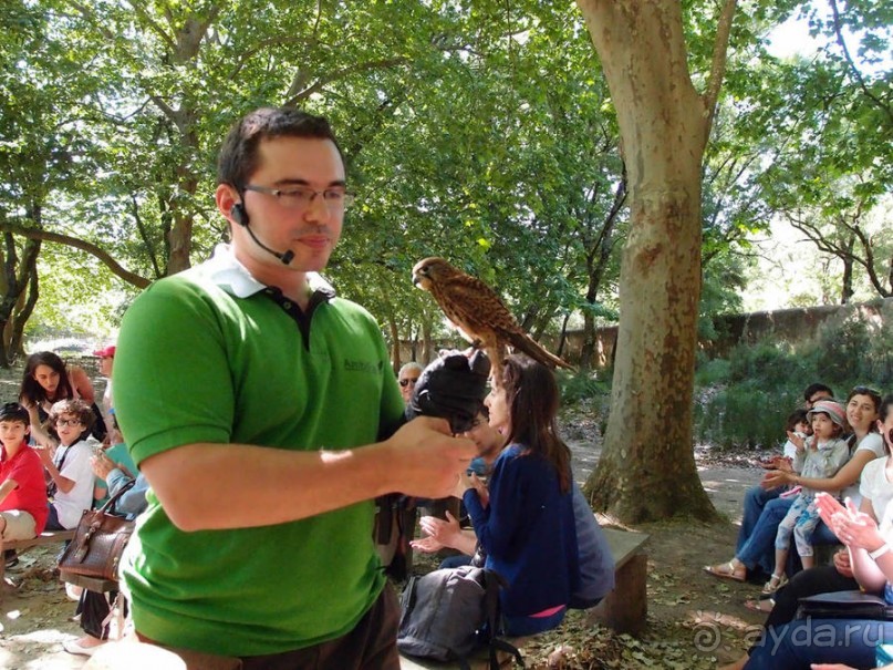 Королевские охотничьи угодья