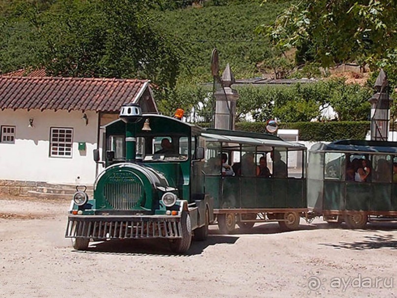 Королевские охотничьи угодья