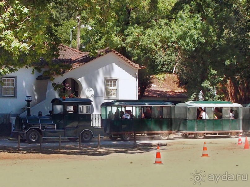 Королевские охотничьи угодья