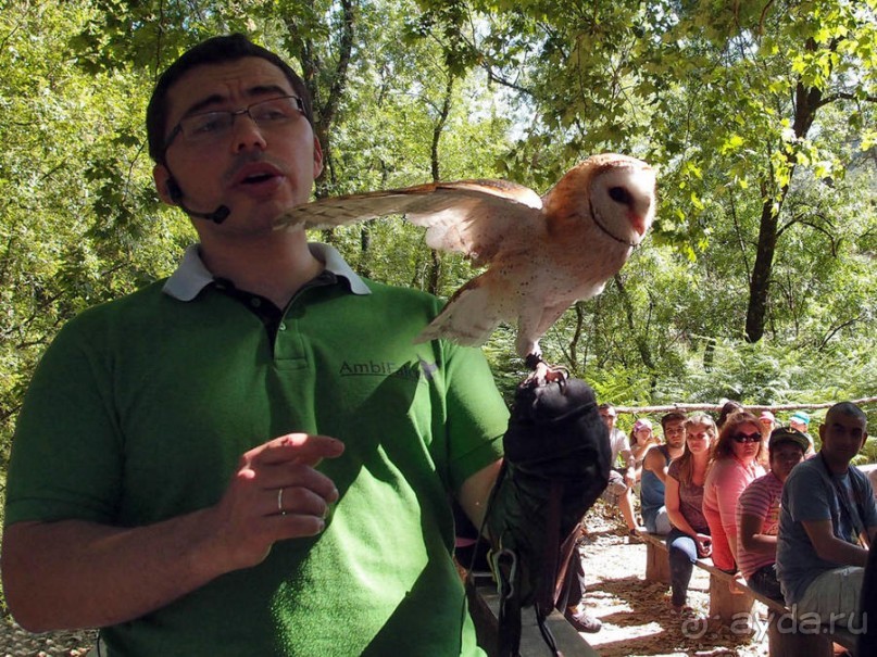 Королевские охотничьи угодья