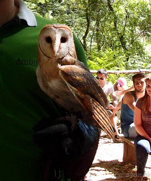 Королевские охотничьи угодья