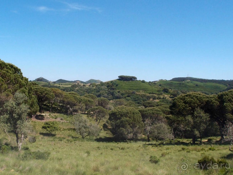 Королевские охотничьи угодья