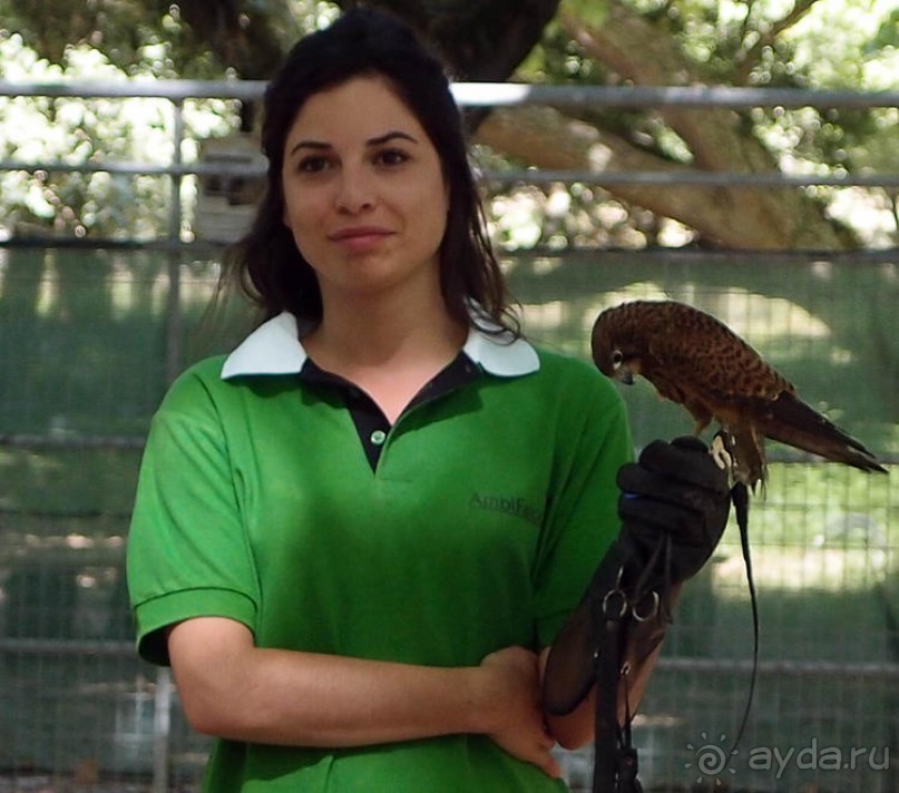 Королевские охотничьи угодья