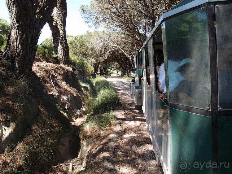Королевские охотничьи угодья
