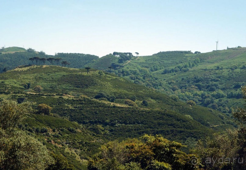 Королевские охотничьи угодья