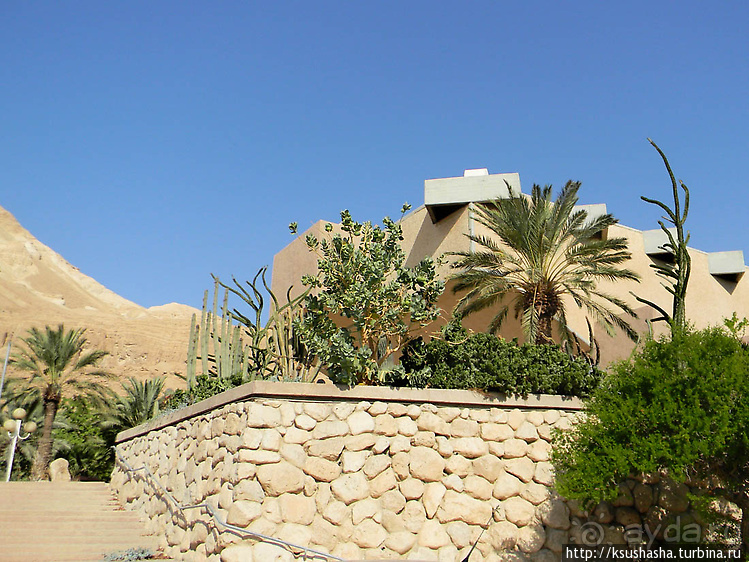 Оазис Эйн-Геди (ч1) История кибуца и его сада