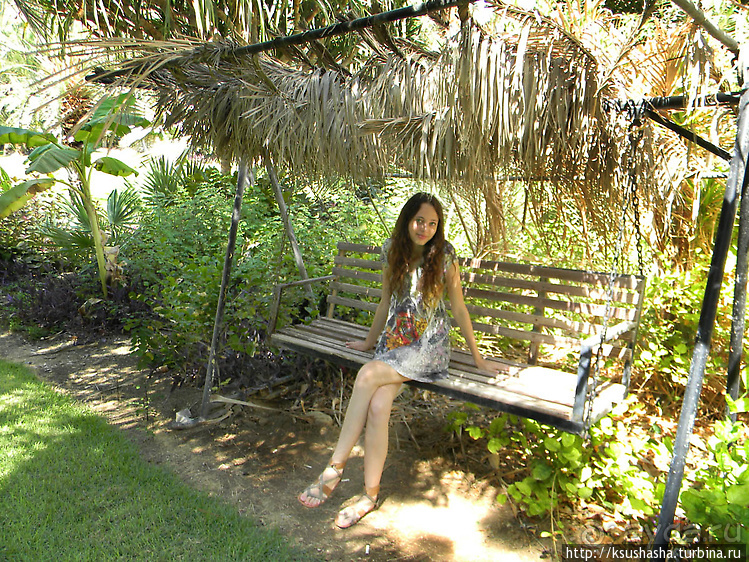 Оазис Эйн-Геди (ч1) История кибуца и его сада