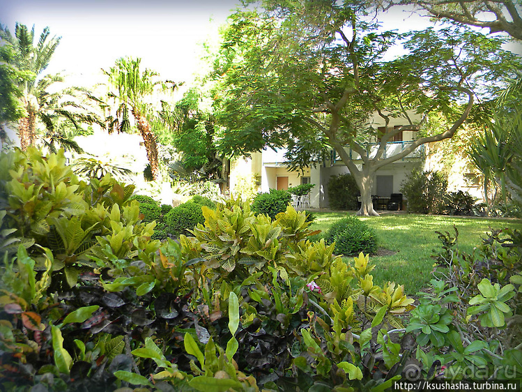 Оазис Эйн-Геди (ч1) История кибуца и его сада