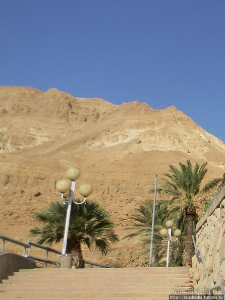 Оазис Эйн-Геди (ч1) История кибуца и его сада