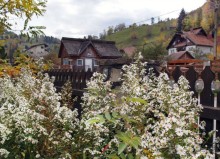 На золотистом бархате Карпат. Валахия