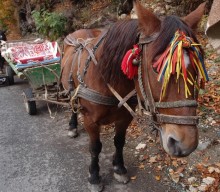 На золотистом бархате Карпат. Валахия