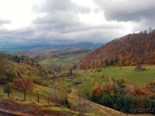 На золотистом бархате Карпат. Валахия