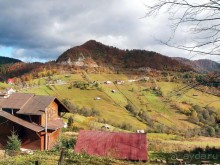 На золотистом бархате Карпат. Валахия