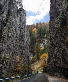 На золотистом бархате Карпат. Валахия