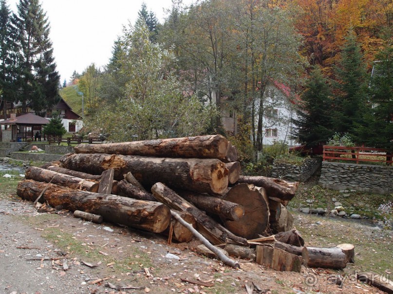 На золотистом бархате Карпат. Валахия